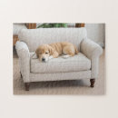 Suche nach schlafender puzzle Tiere