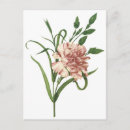 Suche nach redoute postkarten Redoulieren