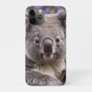 Suche nach koala iphone hüllen Tierwelt