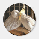 Suche nach lovebird magnete Kuss