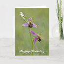 Suche nach orchideen geburtstag karten Schön