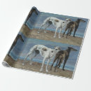 Suche nach windhund geschenkpapier Jede person