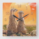 Suche nach meerkats kunst Afrika