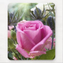Suche nach englische rose mousepads Blume