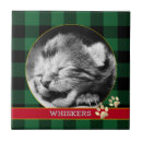 Suche nach kitten fliesen Katze