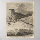 Suche nach neuseeland poster Mit