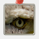 Suche nach eagle ornamente Tiere