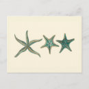 Suche nach starfish postkarten Seestern