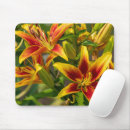 Suche nach taglilien mousepads Orange