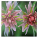 Suche nach indian fliesen Blume