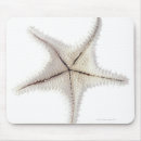 Suche nach tierthemen mousepads Starfish