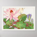 Suche nach wasserlilie poster Blumenreich