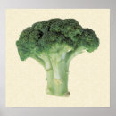 Suche nach broccoli poster Gesund