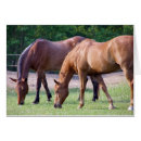 Suche nach quater Tiere