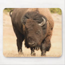 Suche nach neugier mousepads Wild lebende tiere
