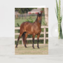 Suche nach andalusier postkarten Stehend