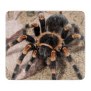 Suche nach beängstigend schneidebrettchen Spooky