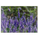 Suche nach lavendel schneidebrettchen Blumen