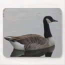 Suche nach kanada mousepads Tierwelt