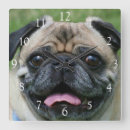 Suche nach pug wanduhren Puppy