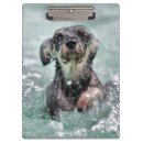 Suche nach schwimmer klemmbrett Niedlich