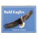 Suche nach weißkopfseeadler kalender Natur