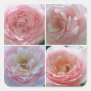 Suche nach hübsche rose aufkleber Jede person