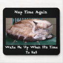 Suche nach nickerchen machen mousepads Katze