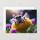 Suche nach niedliche spinnen postkarten Jede person