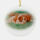 Suche nach bretagne ornamente Hund