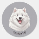Suche nach samoyed aufkleber Weiß