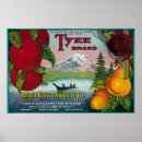 Suche nach kisten poster Produkt