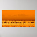 Suche nach zu fuß poster Tier