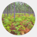 Suche nach farbbild aufkleber Tag