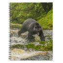 Suche nach jagd kleine notizbücher Schwarzbär