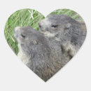 Suche nach marmot aufkleber Erdhuhn