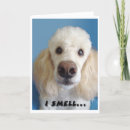 Suche nach große große nase karten Lustig