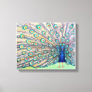 Suche nach peacock leinwandbilder Farbig