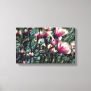 Suche nach magnolien leinwandbilder Quelle