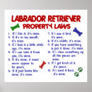 Suche nach labrador retriever poster Spaß