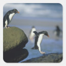 Suche nach kevin aufkleber Vogel