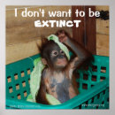 Suche nach love animals poster Baby