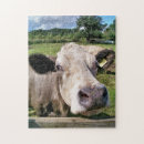 Suche nach cow puzzle Farm