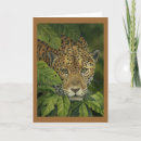 Suche nach jaguar karten Wild