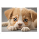 Suche nach inländischer hund poster Welpe