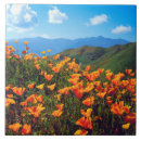 Suche nach a fliesen Blume