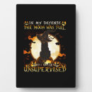 Suche nach mond fotoplatten Kätzchen