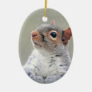 Suche nach niedliches eichhörnchen ornamente Tiere