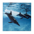 Suche nach amos fliesen Farbbild