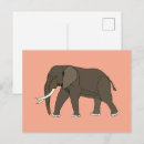 Suche nach safaritiere postkarten Wild